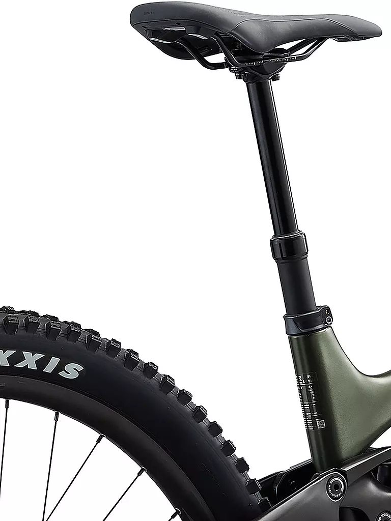 GIANT | Herren E-Mountainbike 29" Trance X Advanced E+ 1 | grün
