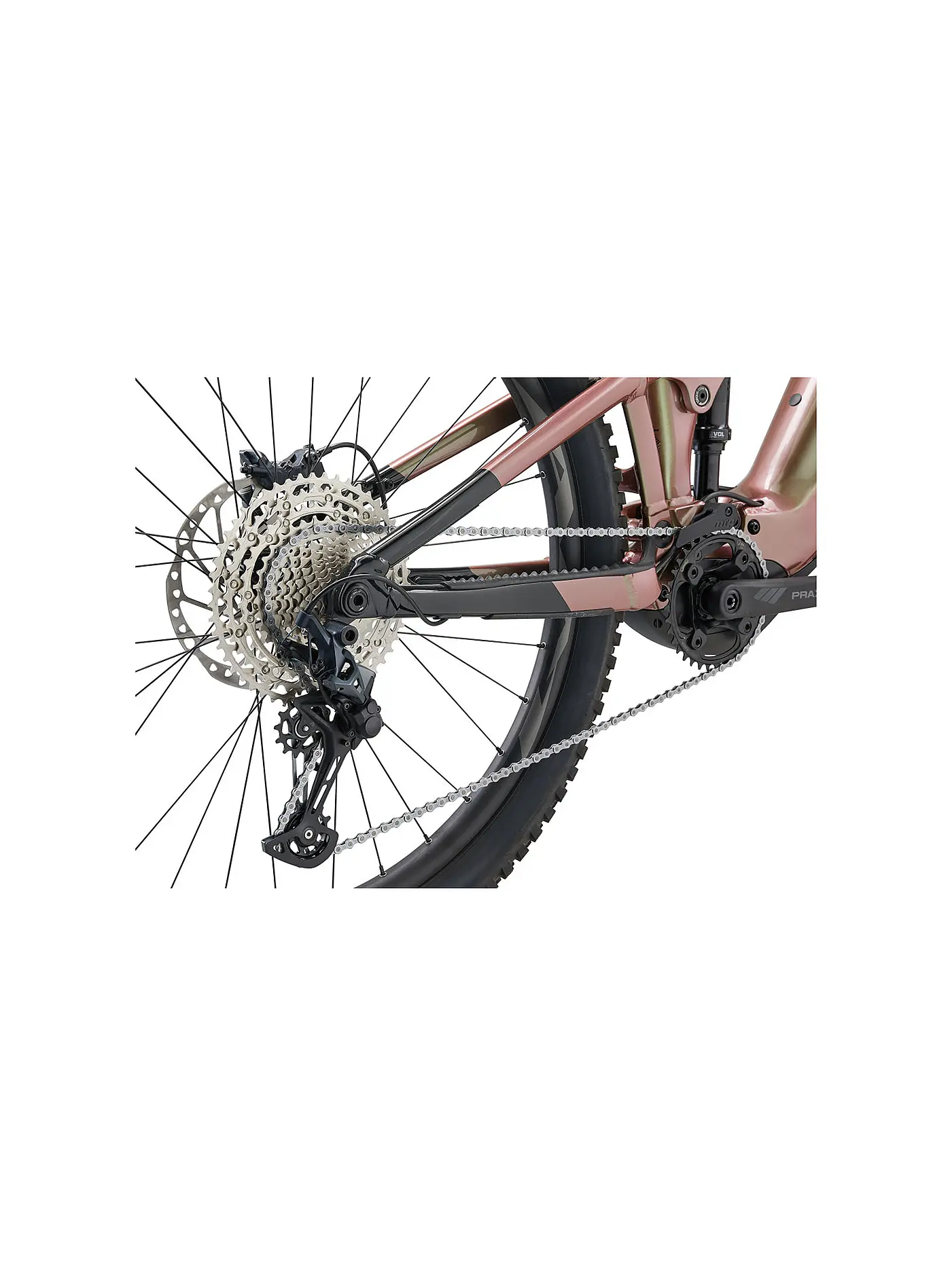 GIANT | Herren E-Mountainbike TRANCE X E+ 2 | camel
