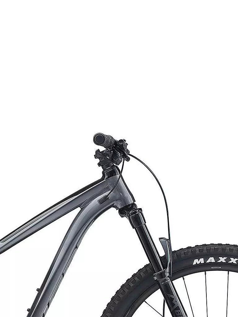 GIANT | Herren Mountainbike 29" Trance 3  | schwarz