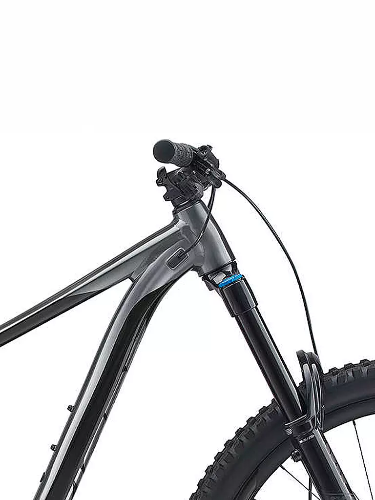 GIANT | Mountainbike 29" Reign 29 1 Ti 2021 | schwarz