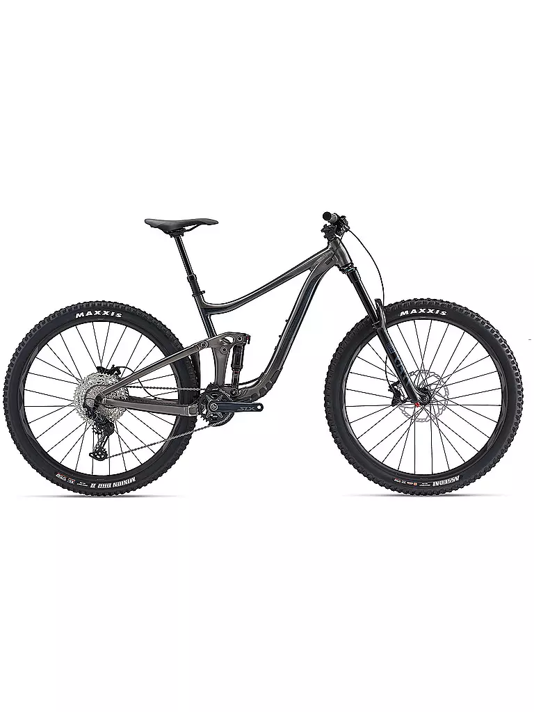 GIANT | Mountainbike 29" Reign 29 | grau