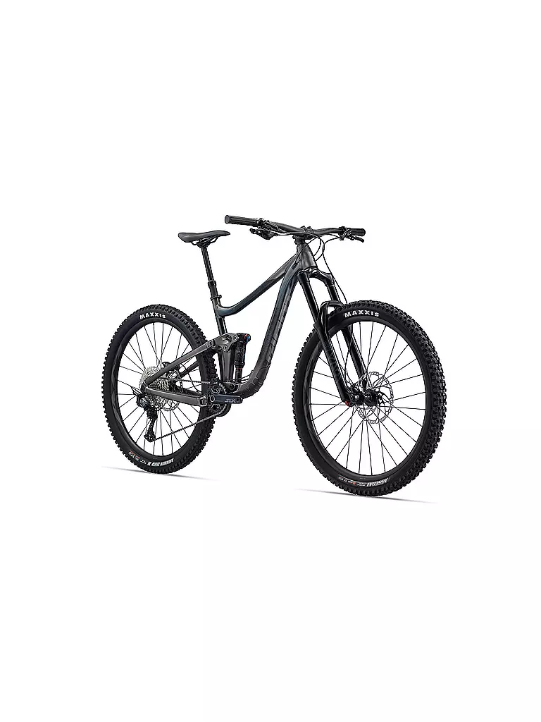 GIANT | Mountainbike 29" Reign 29 | grau