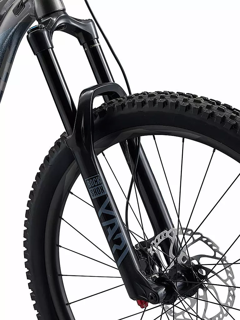 GIANT | Mountainbike 29" Reign 29 | grau