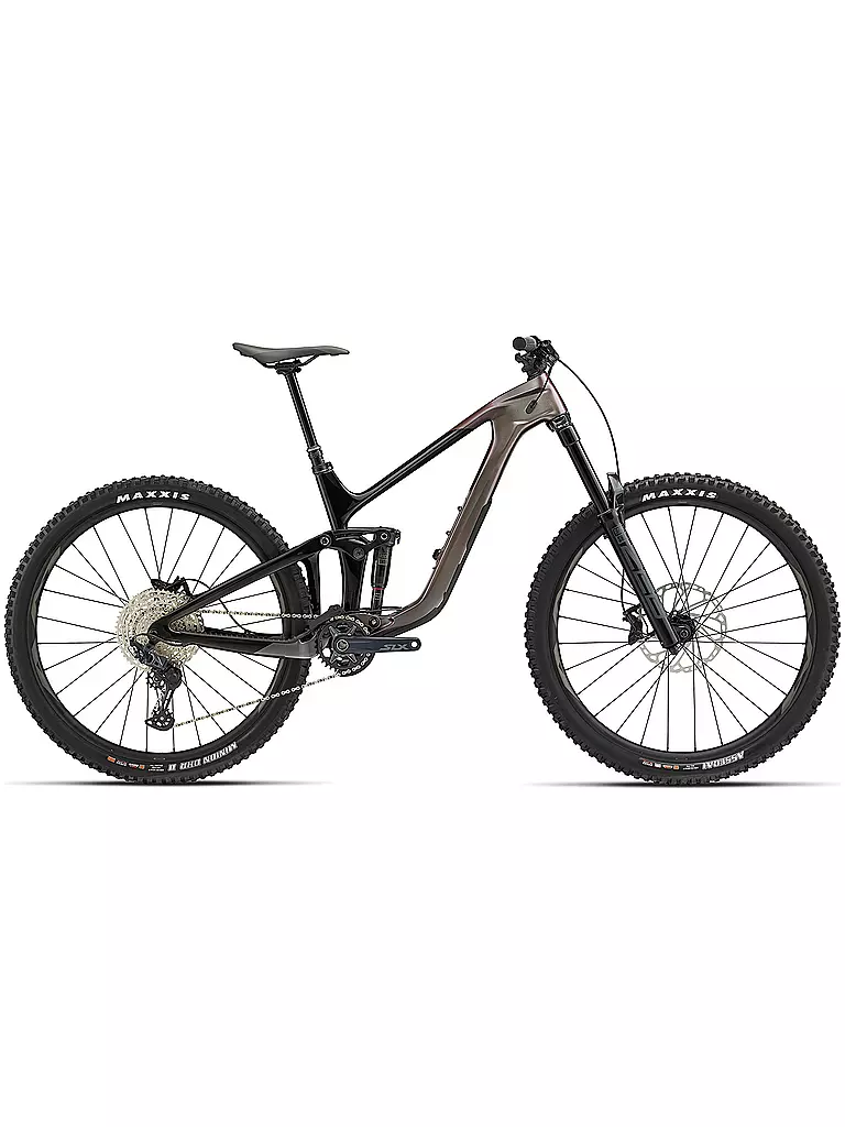 GIANT | Mountainbike 29" Reign Advanced Pro 2 | silber