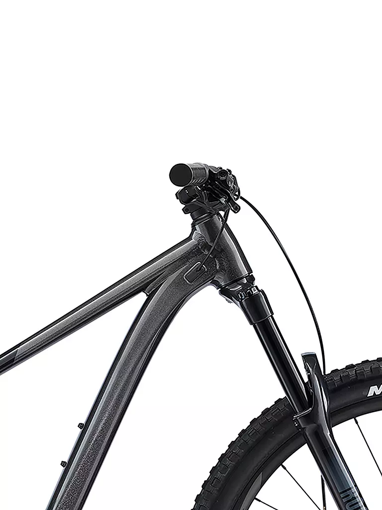 GIANT | Mountainbike 29" Trance 2 | schwarz