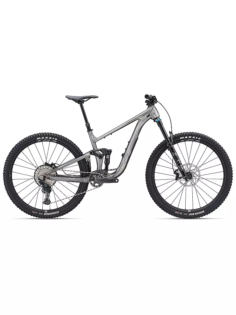 GIANT | Mountainbike Trance X 1 29" | silber