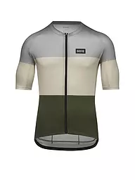 GOREWEAR | Herren Rad Trikot Spirit Stripes | hellgrau