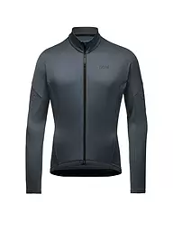 GOREWEAR | Herren Radtrikot C3 Thermo FZ | Grau