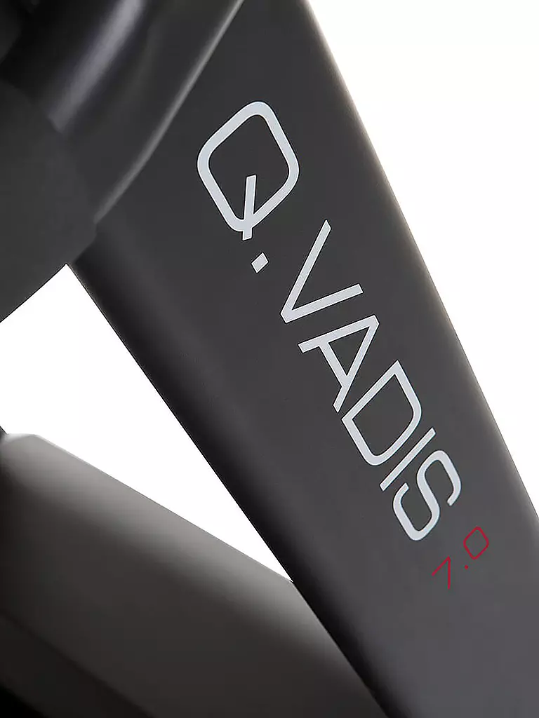 HAMMER | Laufband Q. Vadis 7.0 | schwarz