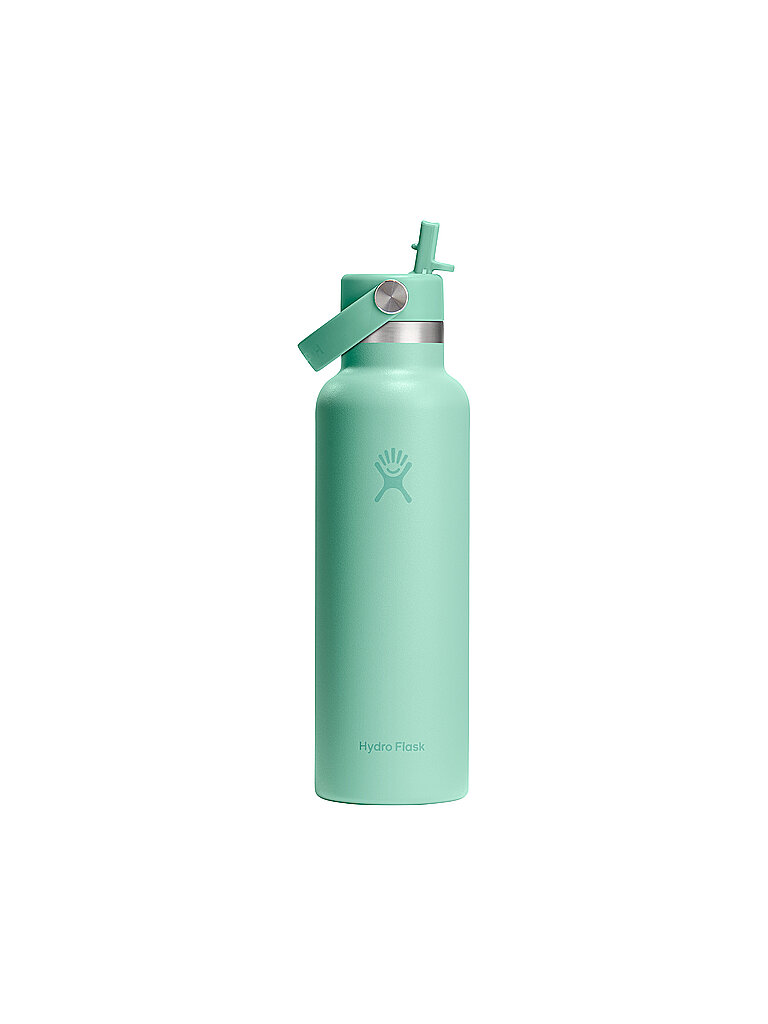 Hydro Flask HYDRO FLASK Trinkflasche Standard Flex Straw 21oz 621ml mint, mint