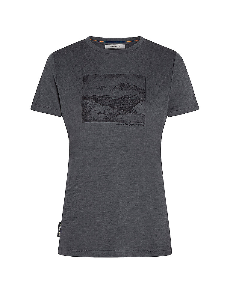 Icebreaker ICEBREAKER Damen Funktionsshirt Lake View 150 Tech-Lite grau | M, grau
