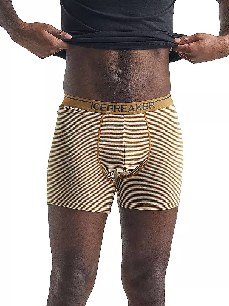 ICEBREAKER | Herren Boxershort Merino Anatomica | gelb