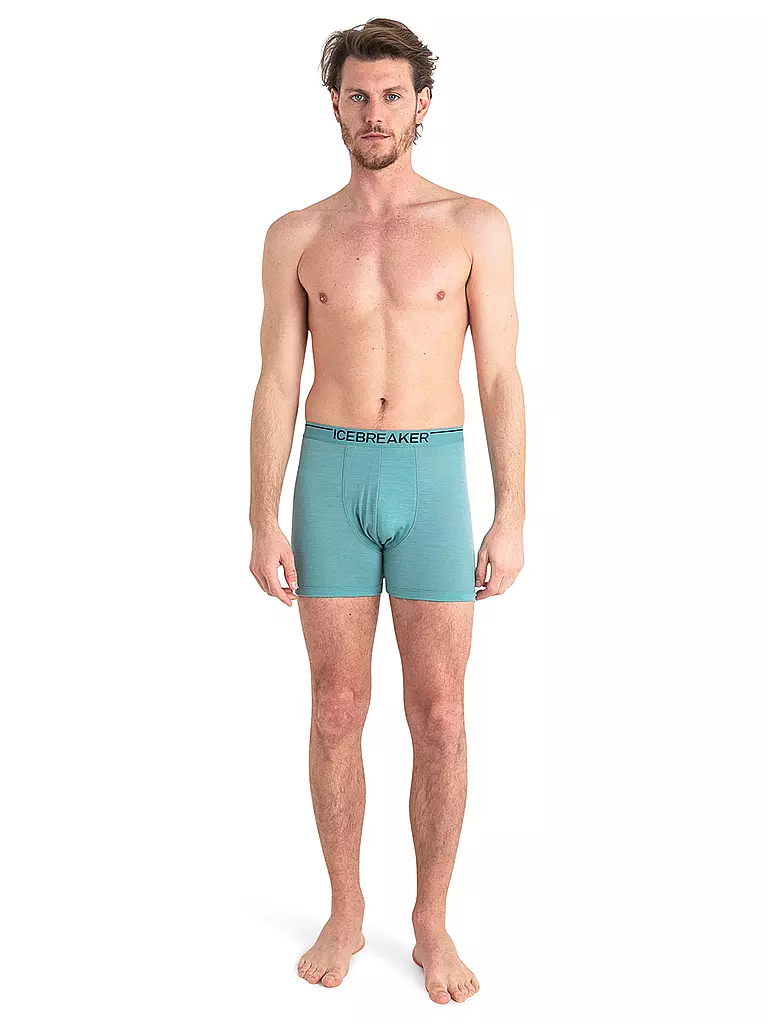 ICEBREAKER | Herren Boxershort Merino Anatomica | olive