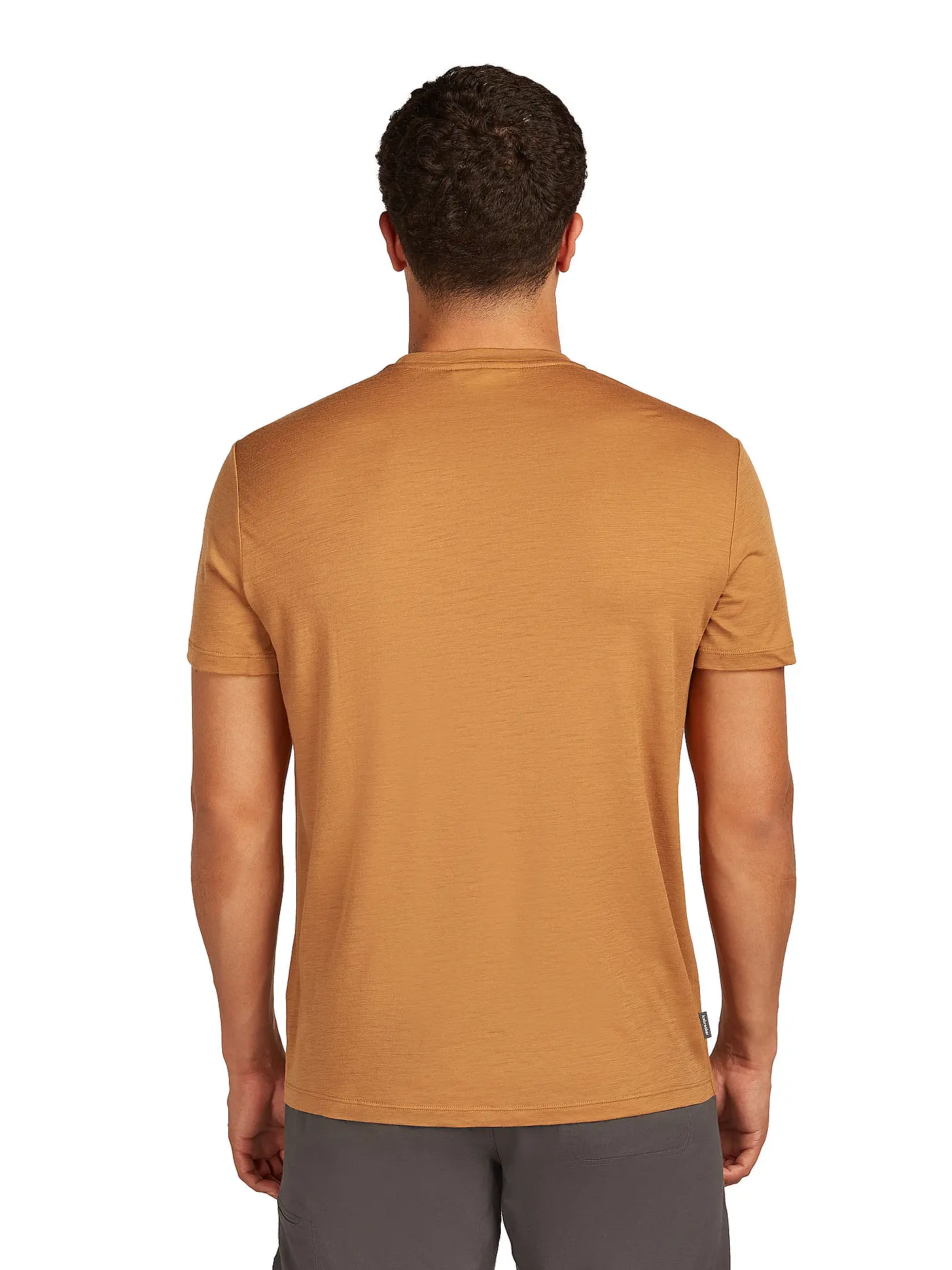 ICEBREAKER | Herren Funktionsshirt Massif Trail 150 Tech | senf