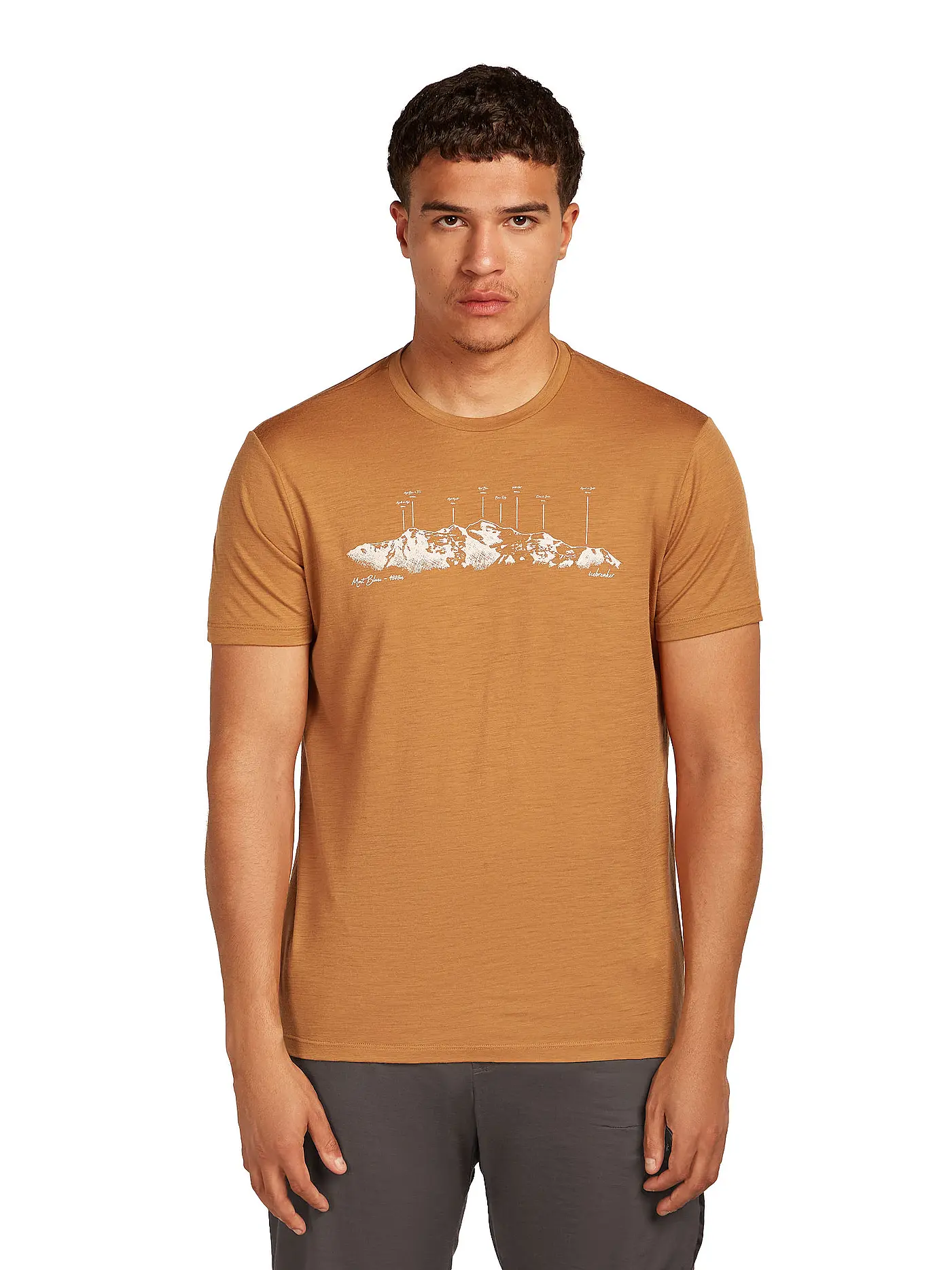 ICEBREAKER | Herren Funktionsshirt Massif Trail 150 Tech | senf