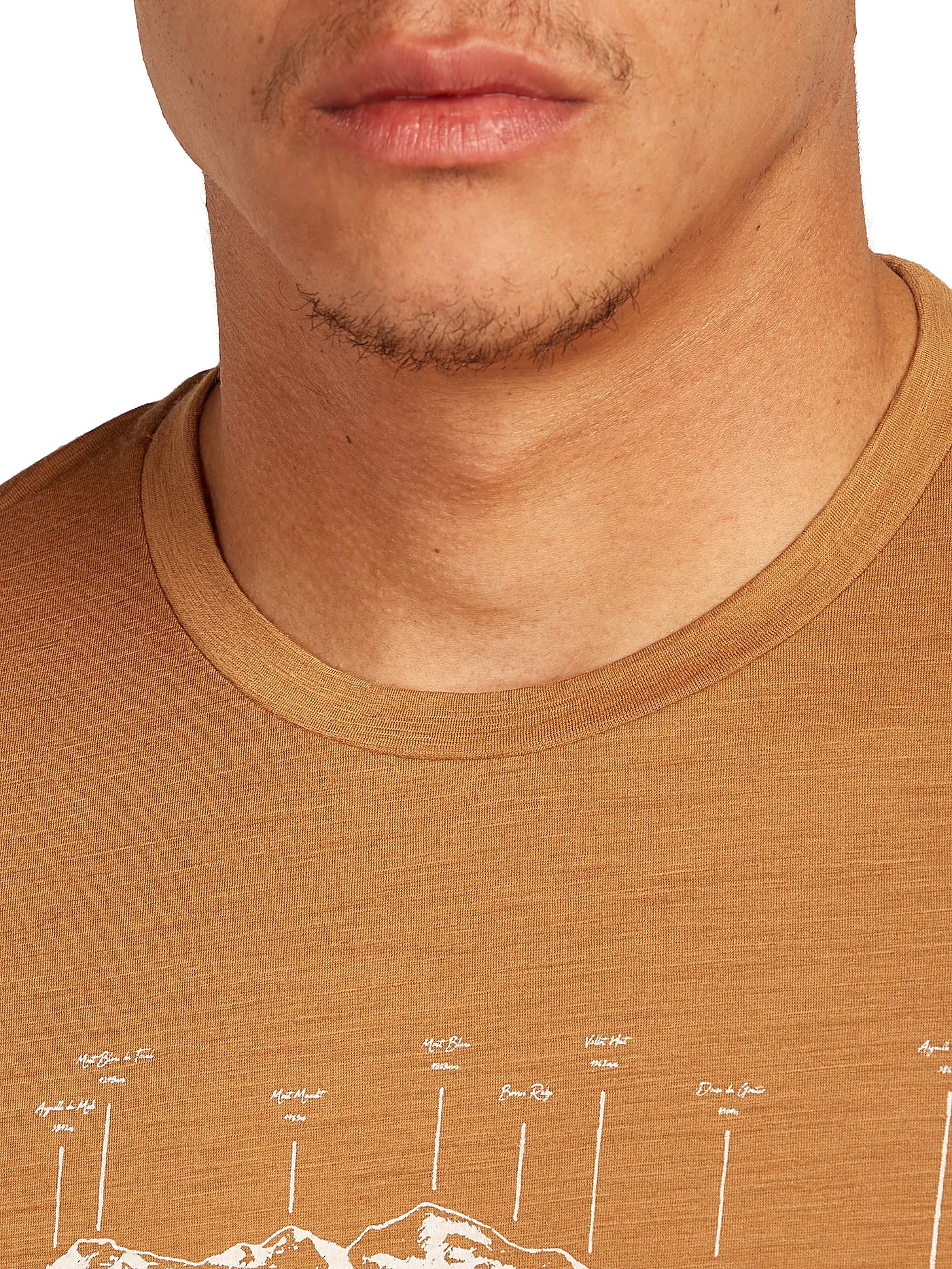 ICEBREAKER | Herren Funktionsshirt Massif Trail 150 Tech | senf