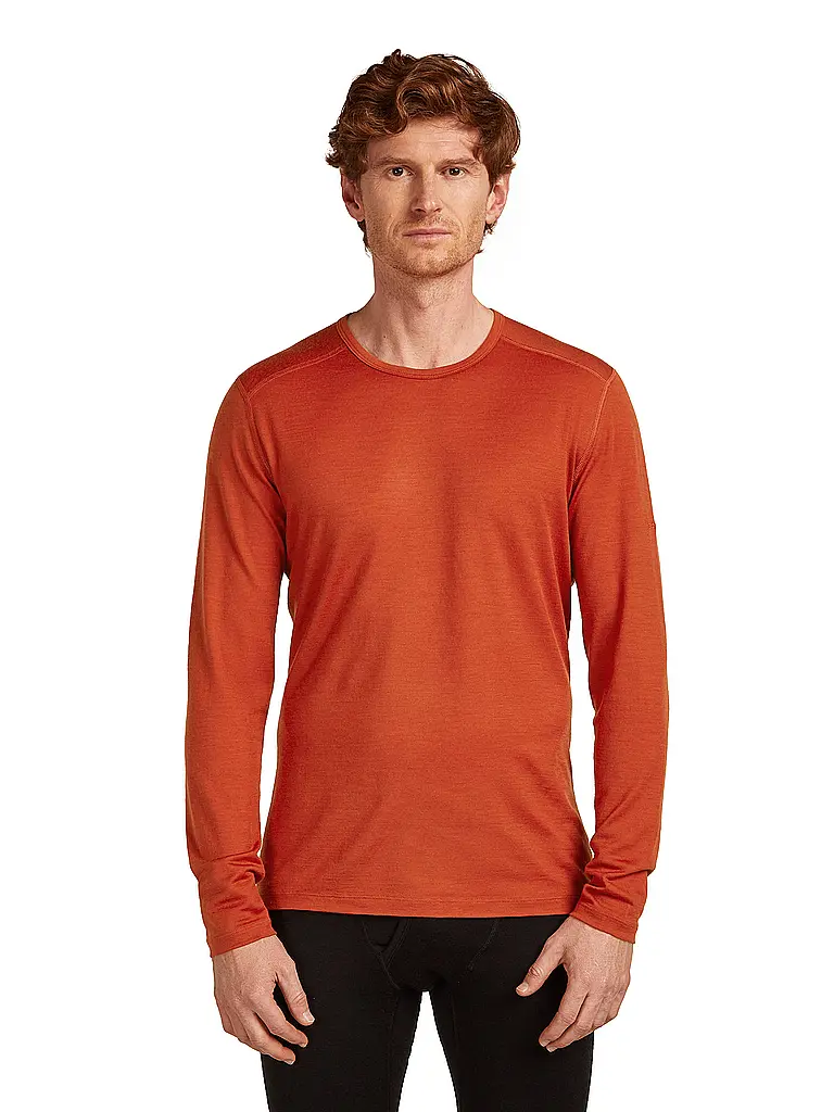 ICEBREAKER | Herren Funktionsshirt Merino 200 Oasis LS | 