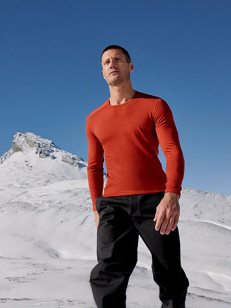 ICEBREAKER | Herren Funktionsshirt Merino 200 Oasis LS | 
