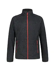 ICEPEAK | Herren Fleecejacke Bode | grau