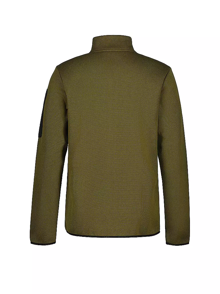 ICEPEAK | Herren Fleecejacke Bredstedt | olive