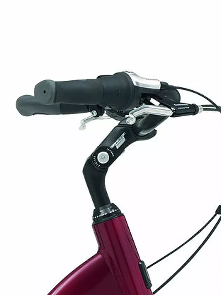 KETTLER | E-Bike Twin Comfort FL, 12,0 AH | 