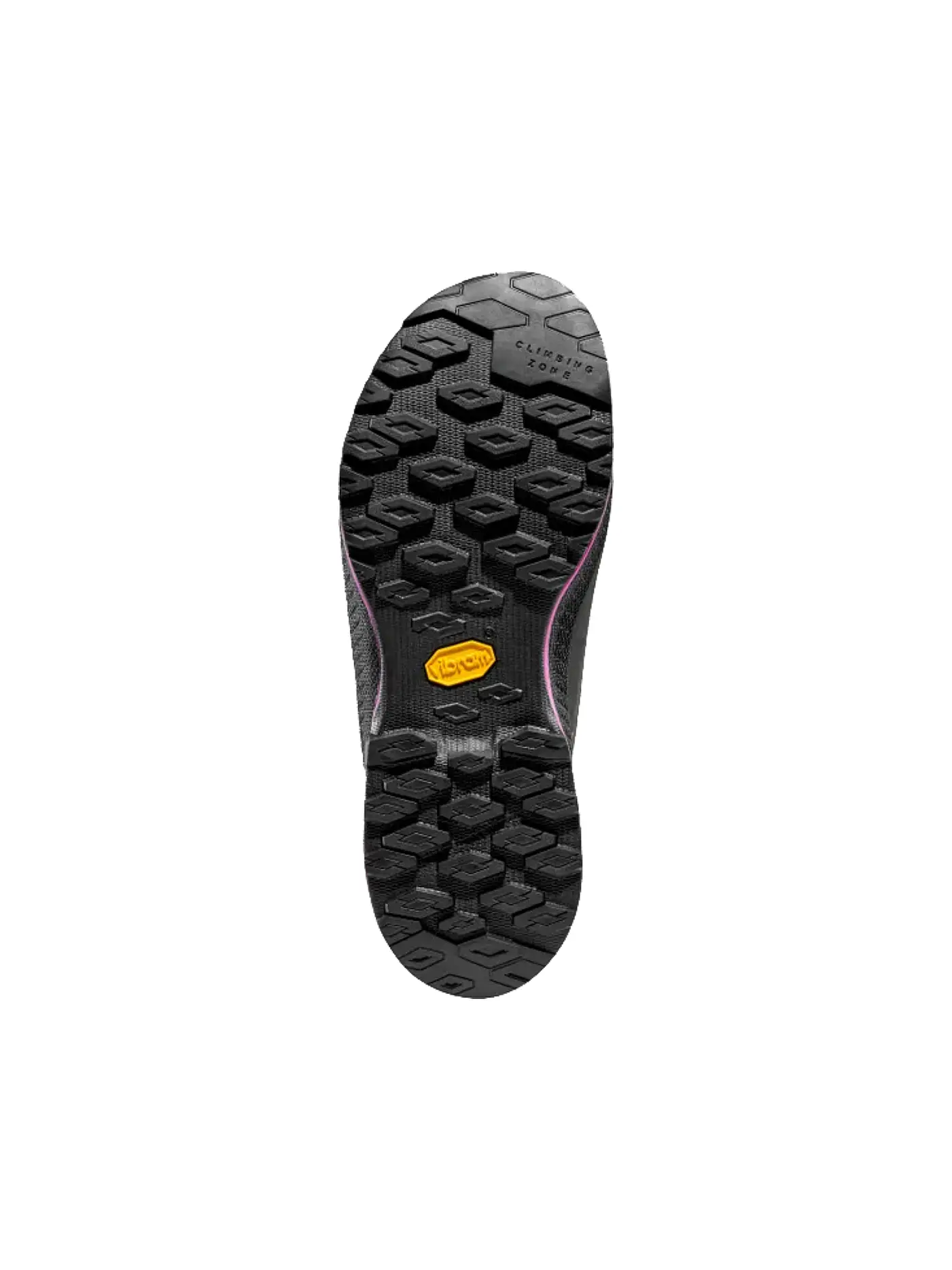 LA SPORTIVA | Damen Zustiegsschuhe TX 4 Evo GTX | schwarz