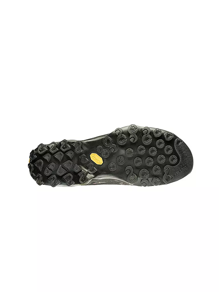 LA SPORTIVA | Herren Zustiegsschuhe TX4 GTX | grau