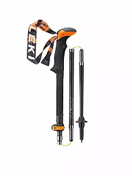 LEKI | Faltstock Micro Vario Carbon | Grau