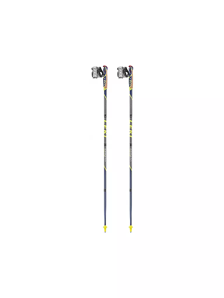 LEKI | Nordic Walkingstöcke Micro Flash Carbon | bunt