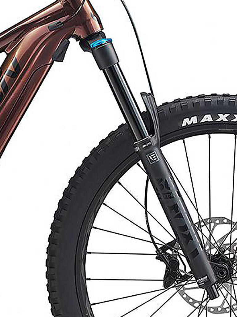 fahrrad giant damen