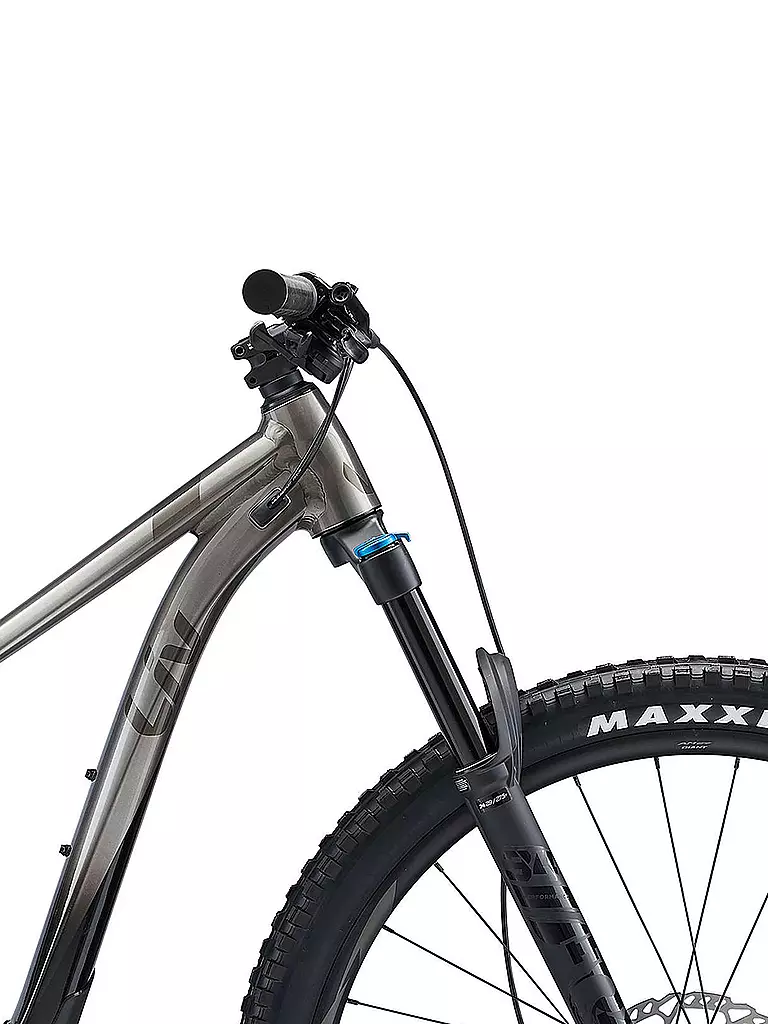 LIV by GIANT | Damen Mountainbike 29" Intrigue 1  | grau