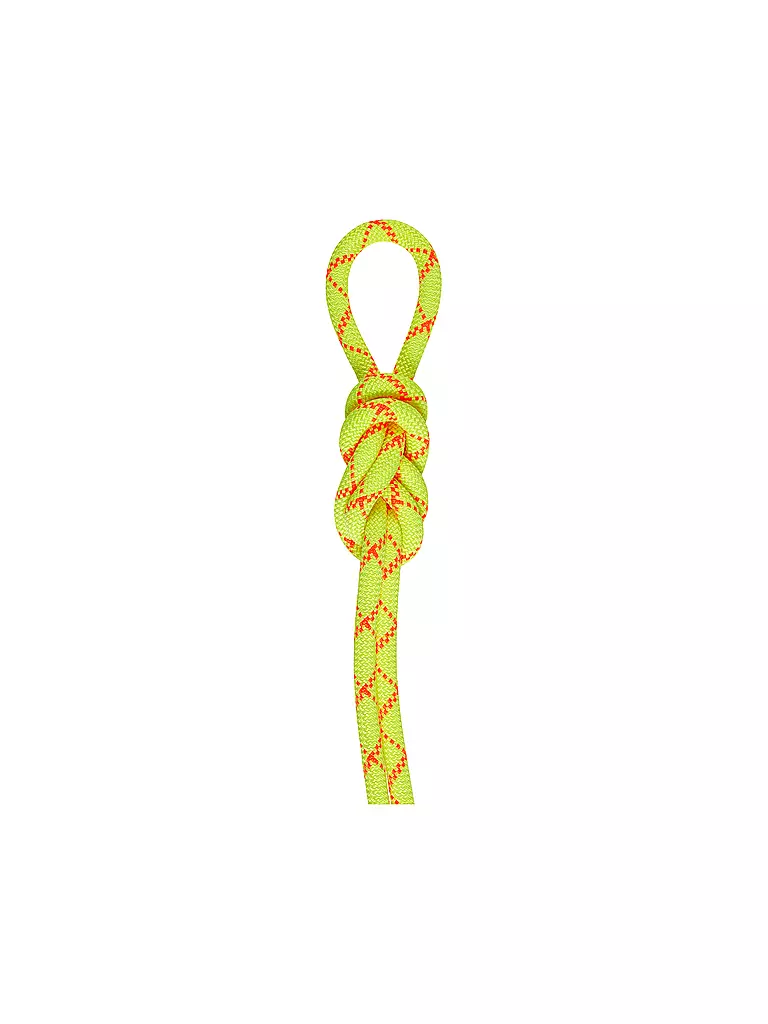 MAMMUT | Seil 9.5 Alpine Core Protect Dry Rope 60m | gelb