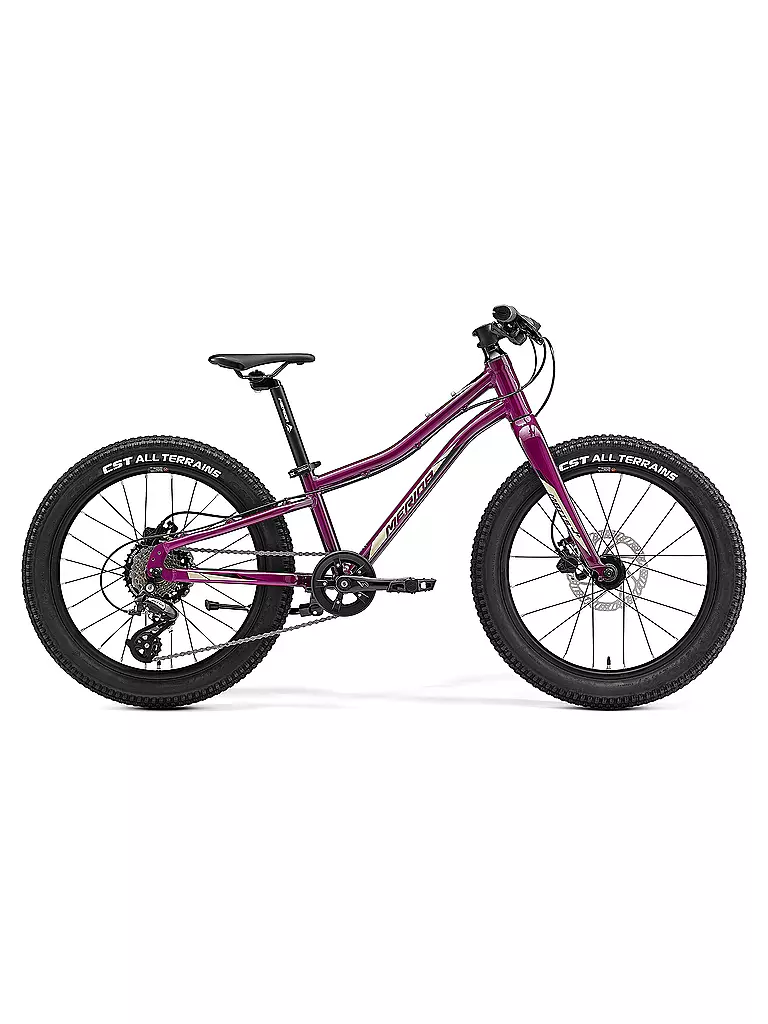 MERIDA | Jugend Mountainbike 20" MATTS J. 20+ | lila