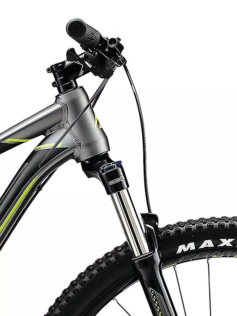 MERIDA | Mountainbike 29" BIG.NINE 300 2020 | grau