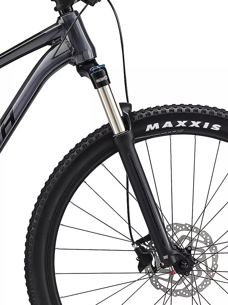 MERIDA | Mountainbike 29" BIG.NINE 300 2021 | grau