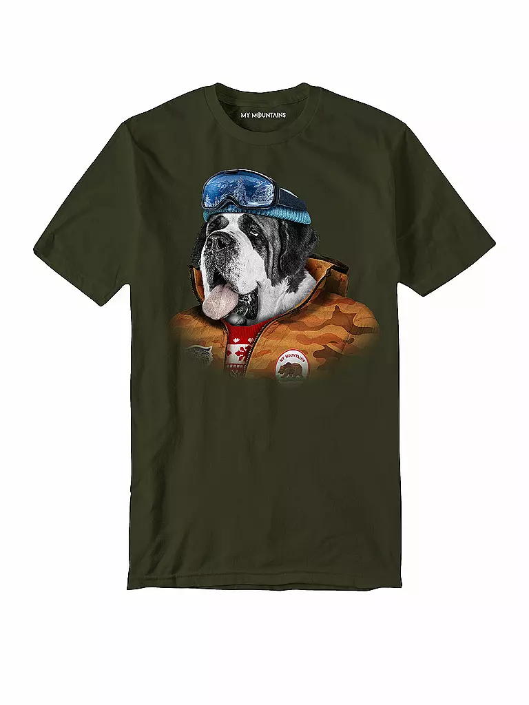 MY MOUNTAINS | Herren T-Shirt St Ber | grün