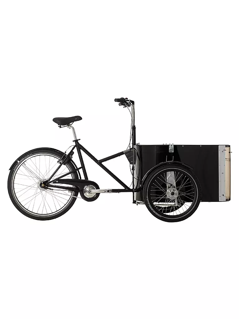NIHOLA | E-Lastenrad Family | 