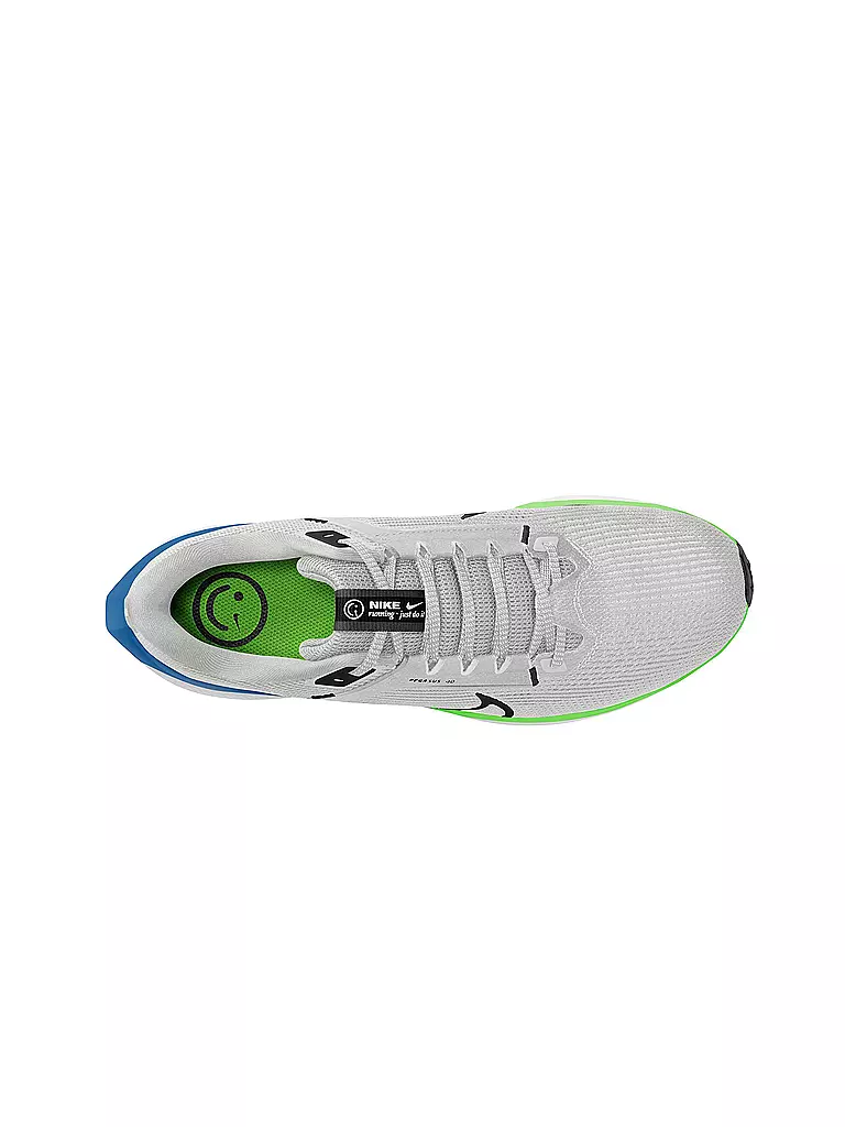 NIKE | Herren Laufschuhe Pegasus 40 | grau