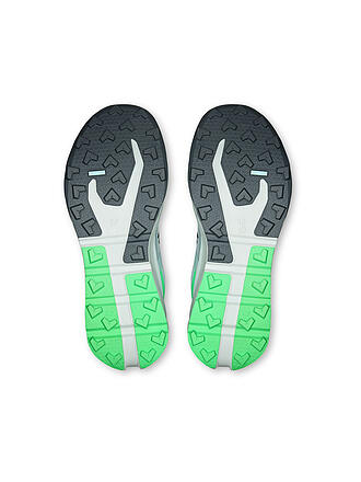 ON | Herren Traillaufschuhe CLOUDVISTA 3