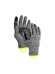 ORTOVOX | Herren Fleecehandschuhe Fleece Light | grau