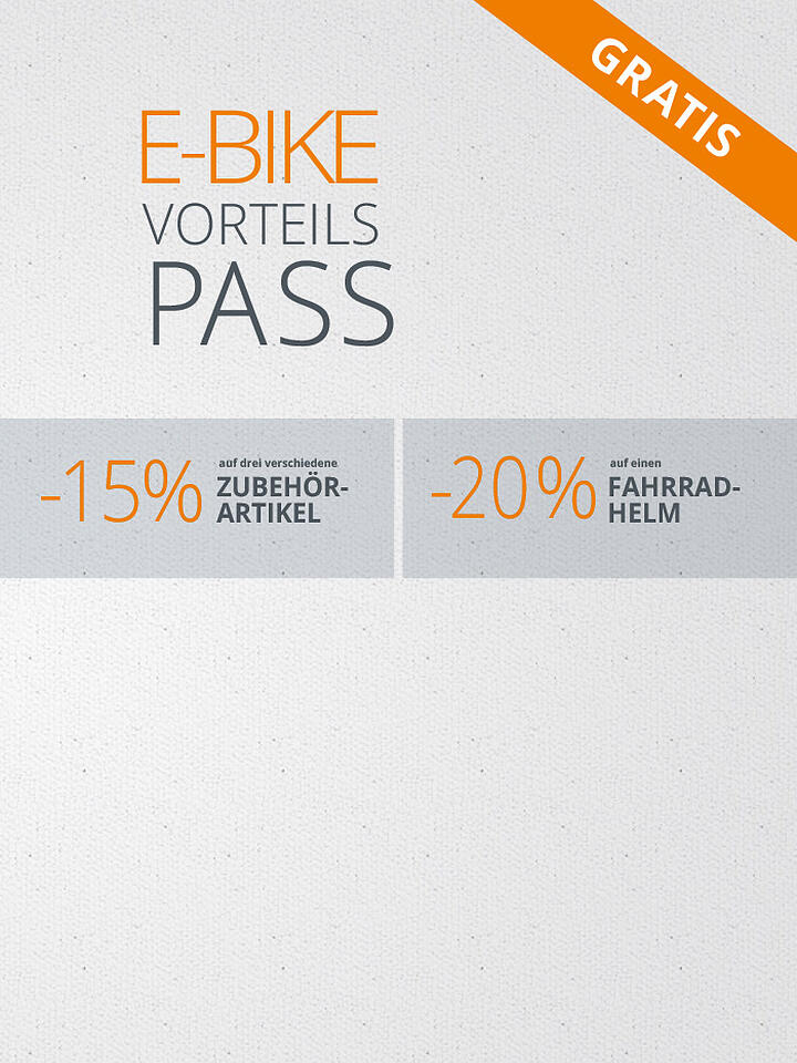 BERGAMONT | Herren E-Trekkingbike 28" E-Horizon Premium SUV Gent | grau