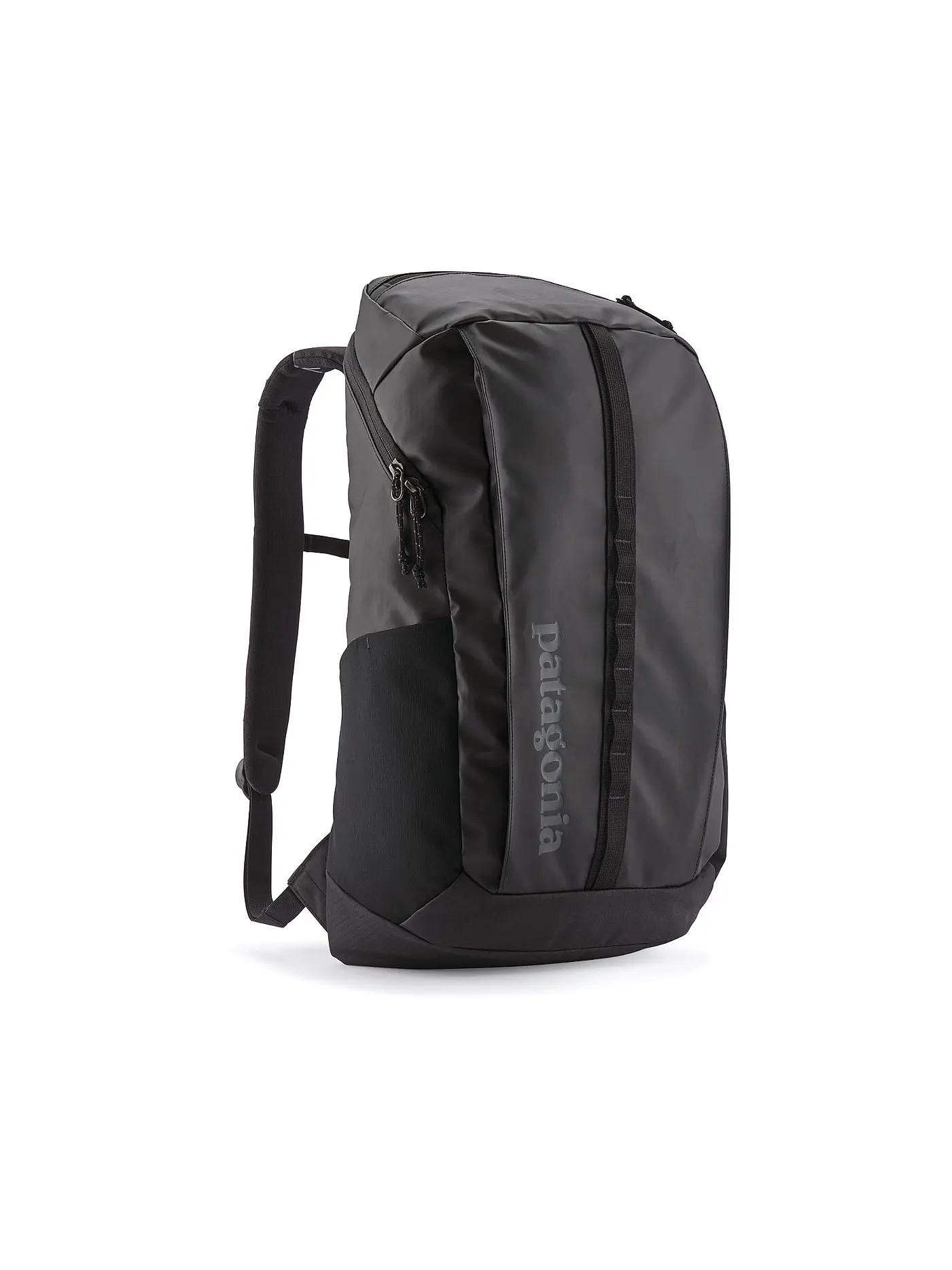 PATAGONIA | Tagesrucksack Black Hole 25L | schwarz