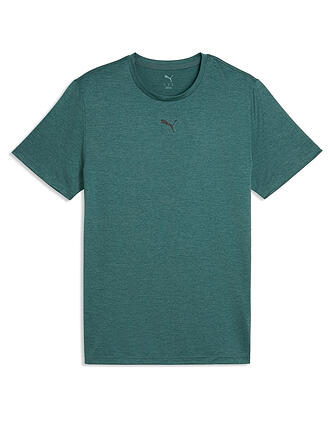 PUMA | Herren Fitnessshirt Essentials Heather Cat