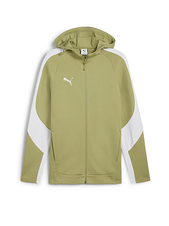 PUMA | Herren Kapuzenjacke Teamevostripe