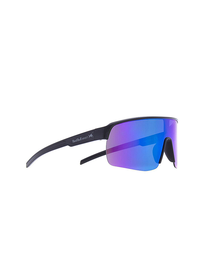 Red Bull Spect RED BULL SPECT Herren Sportbrille Dakota F3 schwarz, schwarz