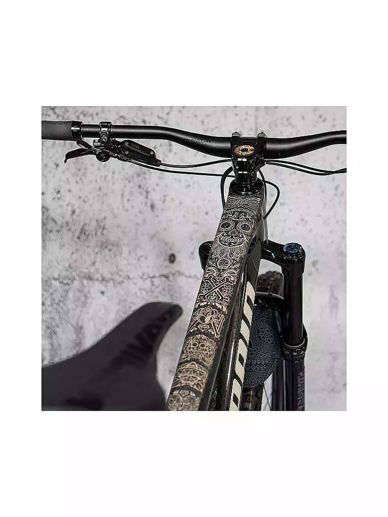 RIESEL DESIGN | frame:TAPE 3000 Los Muertos Gold | gold