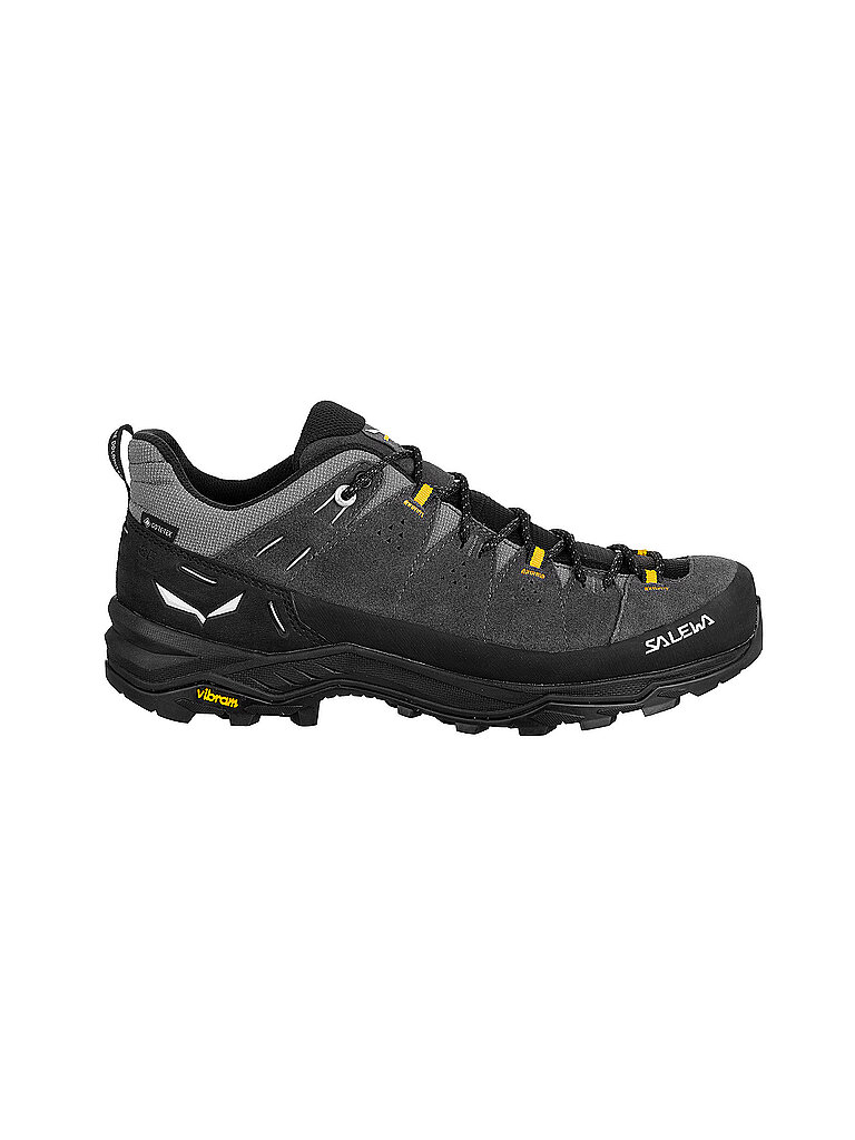Salewa SALEWA Herren Wanderschuhe Alp Trainer 2 GTX grau | 43, grau