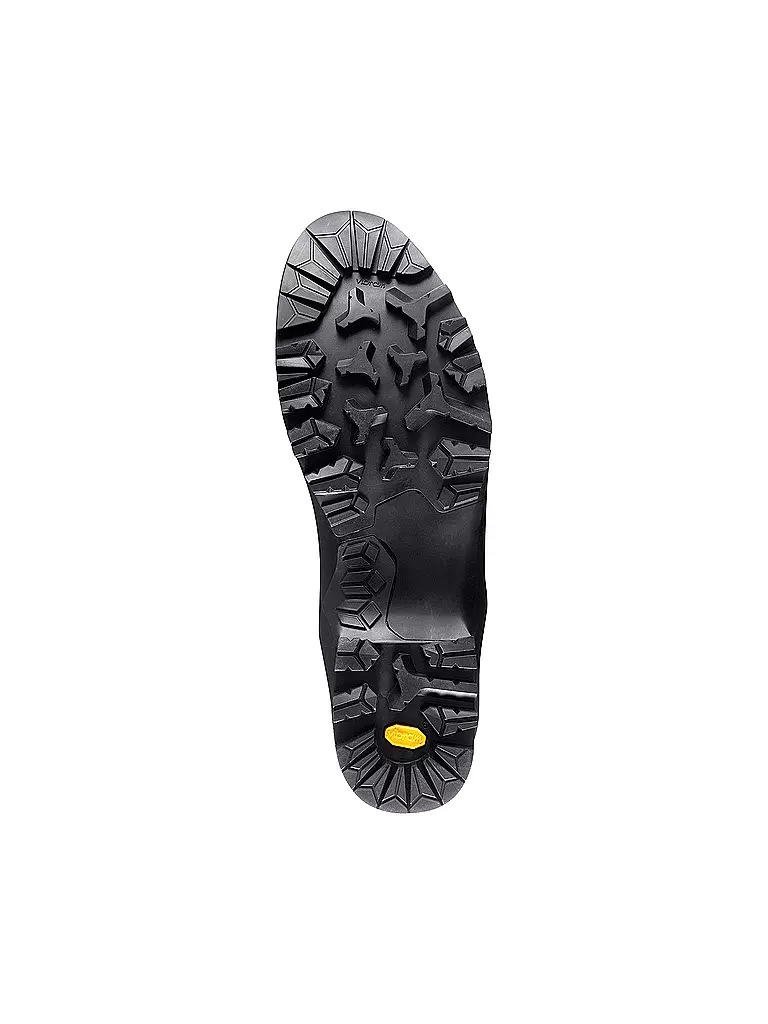 SALEWA | Damen Bergschuh Raven 2 GTX | 