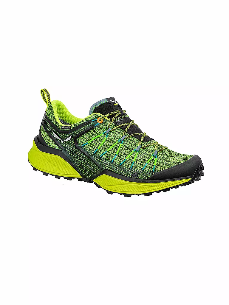 SALEWA | Herren Hikingschuhe Dropline GTX | grün