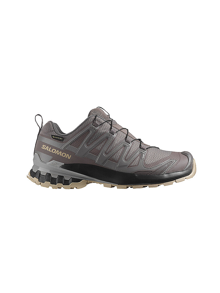 SALOMON Damen Multifunktionsschuhe XA PRO 3D V9 GTX beere | 38 2/3
